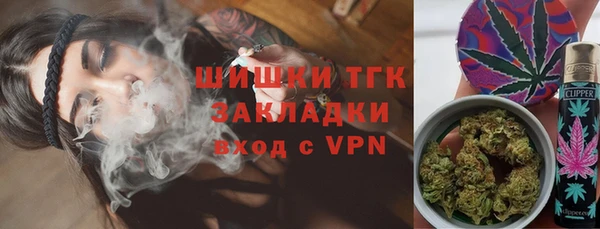 индика Пролетарск