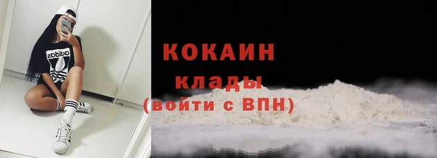 mdpv Протвино