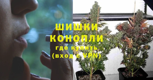 индика Пролетарск
