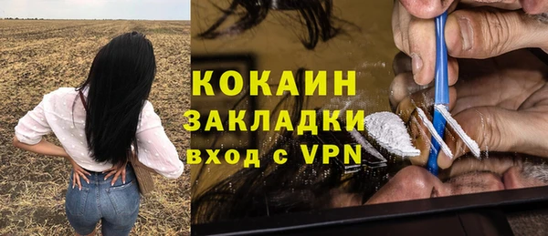 mdpv Протвино