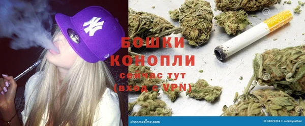 mdpv Протвино