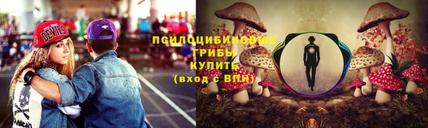 МДПВ Новоуральск