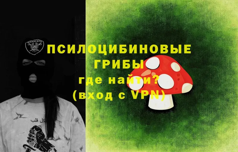 цена   Полярные Зори  Псилоцибиновые грибы Psilocybe 