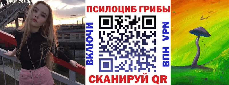 Псилоцибиновые грибы Psilocybe  Полярные Зори 